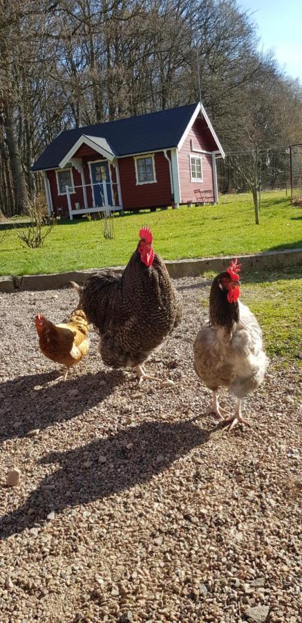 Villa Lill Hagahus, Soederasens Nationalpark Kågeröd Esterno foto