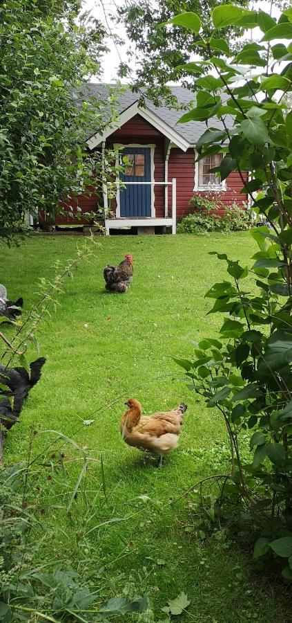 Villa Lill Hagahus, Soederasens Nationalpark Kågeröd Esterno foto