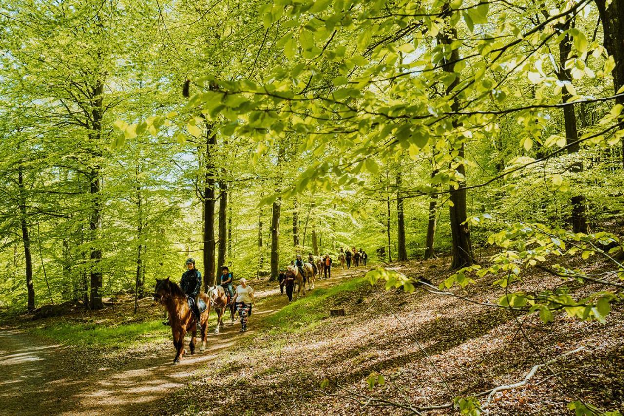 Villa Lill Hagahus, Soederasens Nationalpark Kågeröd Esterno foto