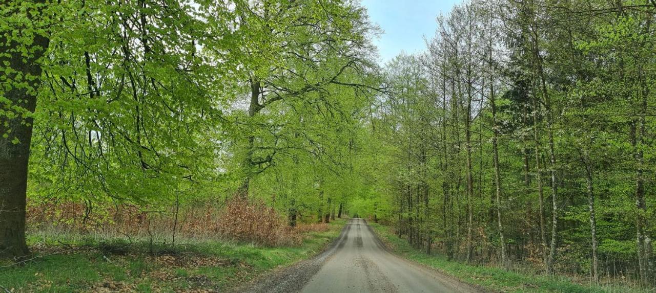 Villa Lill Hagahus, Soederasens Nationalpark Kågeröd Esterno foto